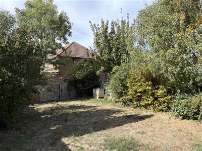 Picture 10